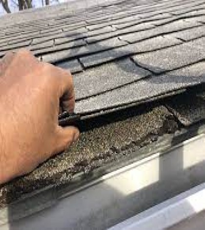  Tips How to Remove Mold from Your Roof